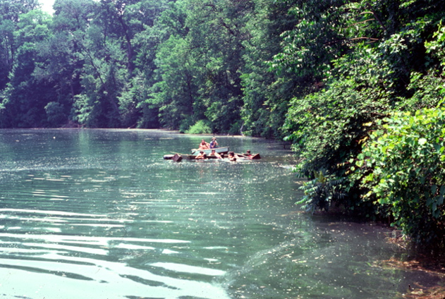 36-1976#1