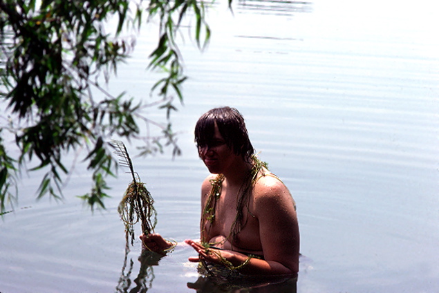 12-19761