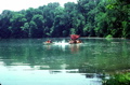 18-19761