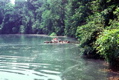 36-1976#1