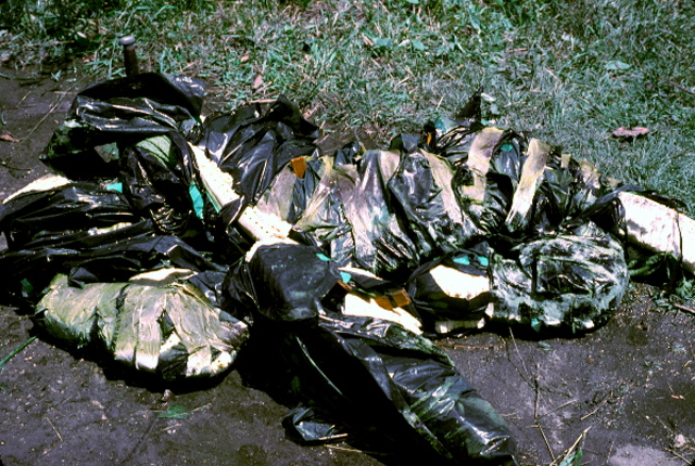 103-19772plusfillins
