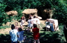 113-19772plusfillins