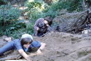 43-19771