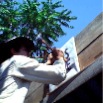 188