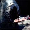 67