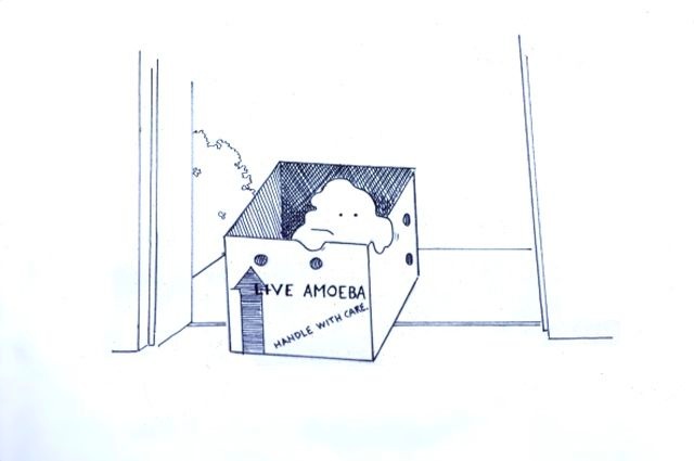 Loading Image